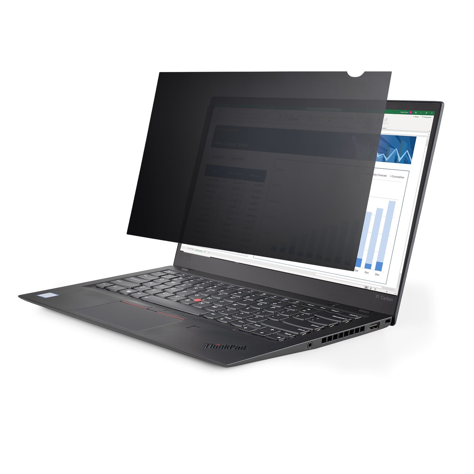STARTECH STARTECH.COM 15.6" 16:9 LAPTOP PRIVACY FILTER, ANTI-GLARE PRIVACY SCREEN FILTER 2 YR 156L-PRIVACY-SCREEN