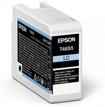 EPSON EPSON Singlepack Light Cyan T46S5 4873839