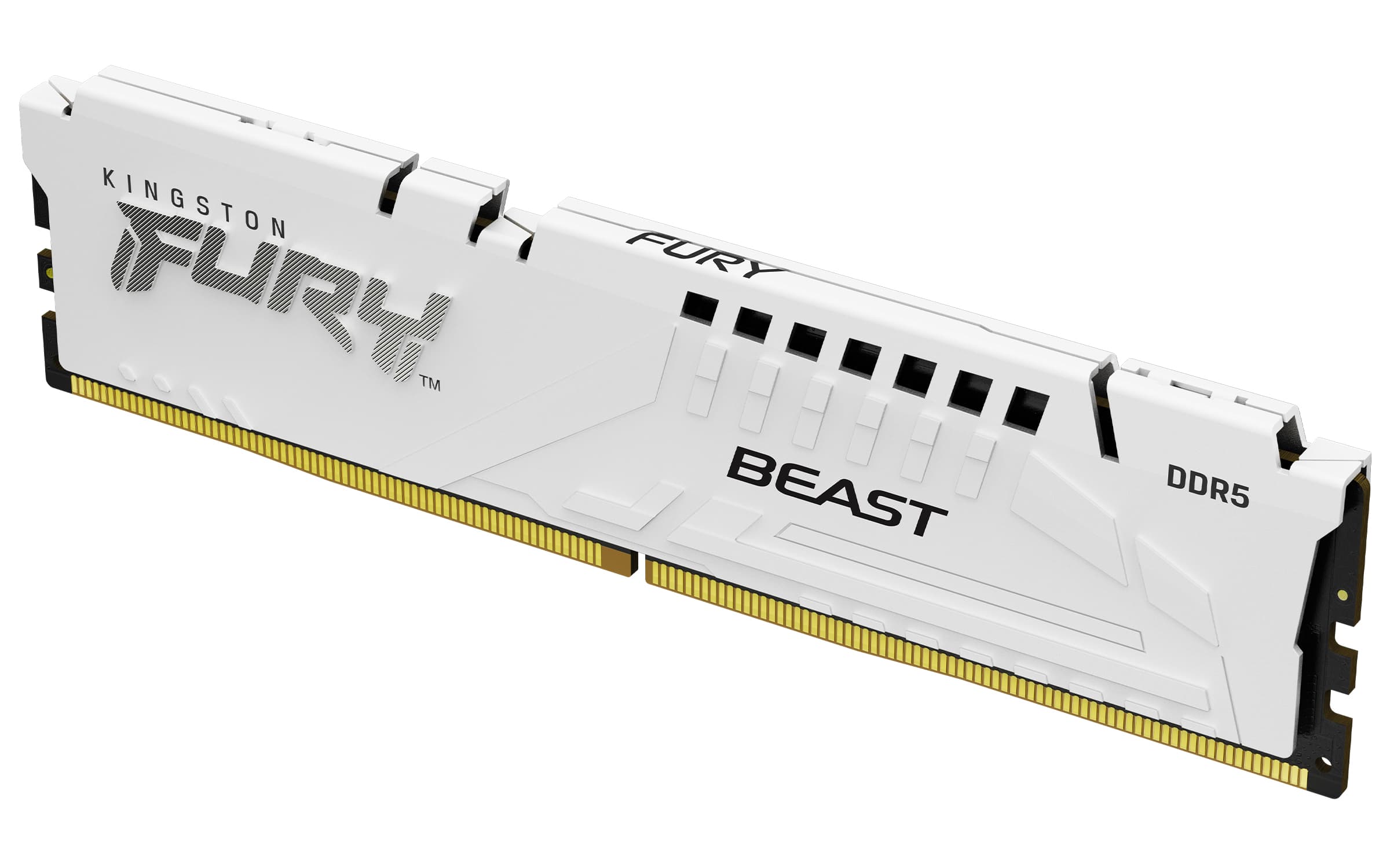 KINGSTON KINGSTON 32GB DDR5-6000MT/s CL36 DIMM FURY Beast 5739822