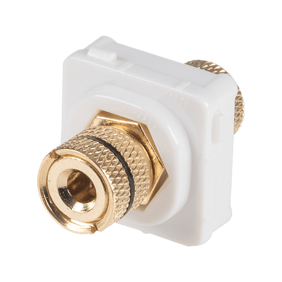 Amdex AMDEX Black Speaker Binding Post. Gold Plated FP-BINP-BK