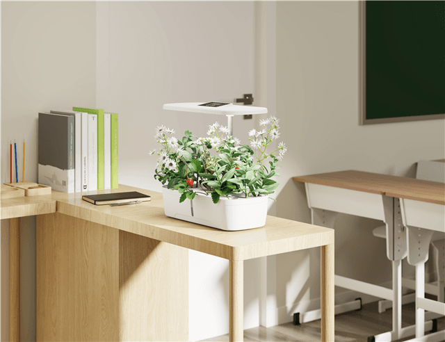 Digitus 12 Pod Indoor Garden