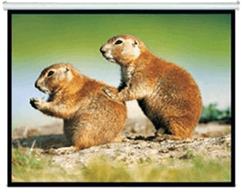 Brateck 150" 4:3 Pull Down Projector Screen Matte