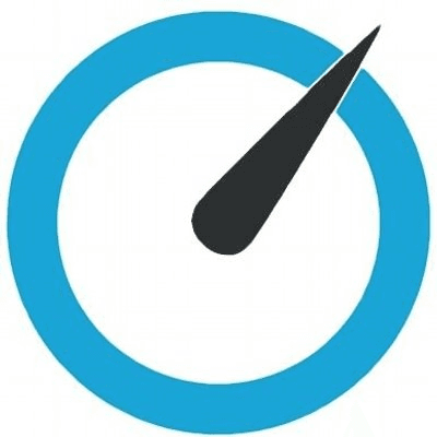 MSPCFO MSPCFO Basic - Annual MSP-CFO-BAA-C100