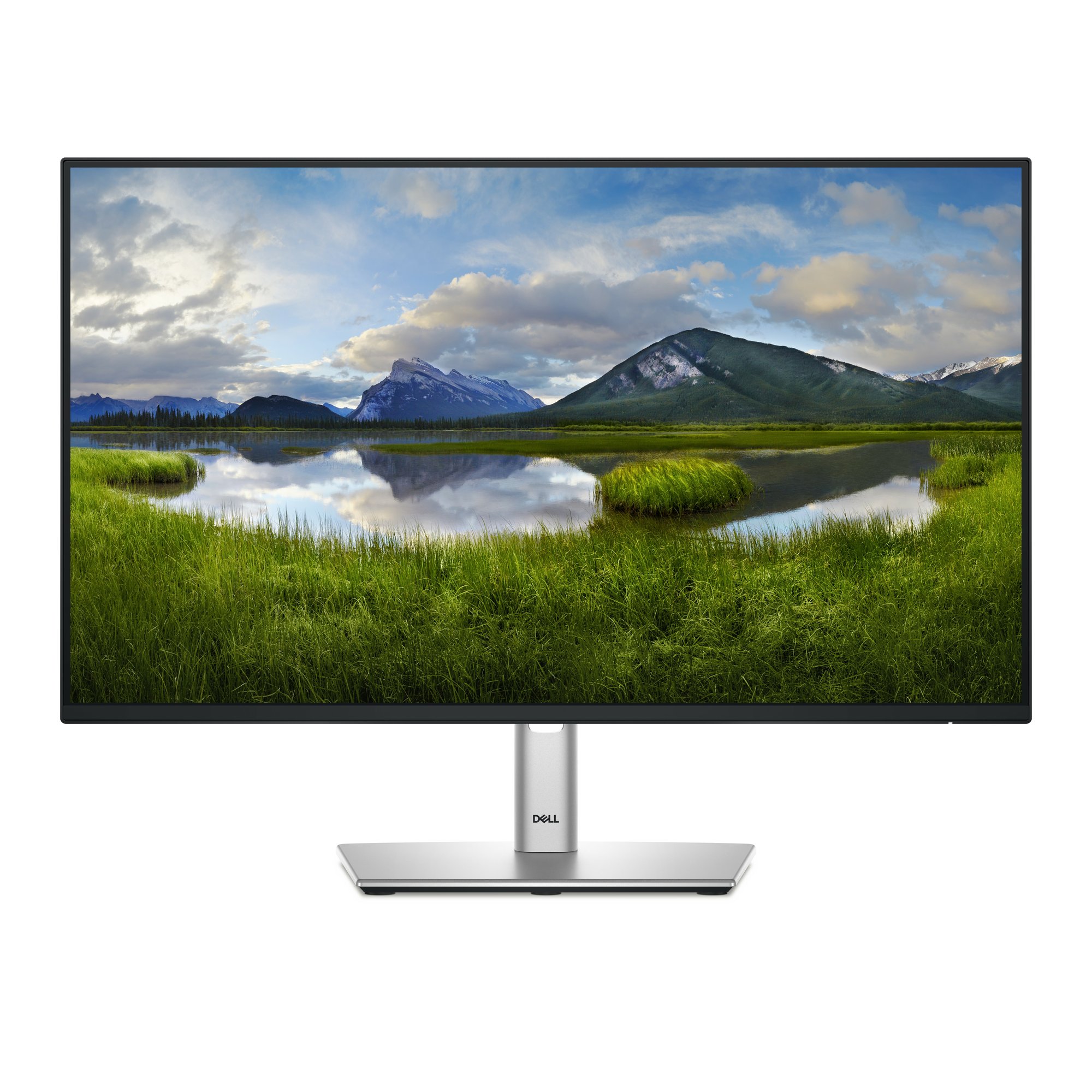 DELL P-SERIES 23.8" (16:9) IPS 1920x1080 DP HDMI RJ45 USB-C USB H/ADJ USB PD 90W 100HZ 3YR DELL — view 2