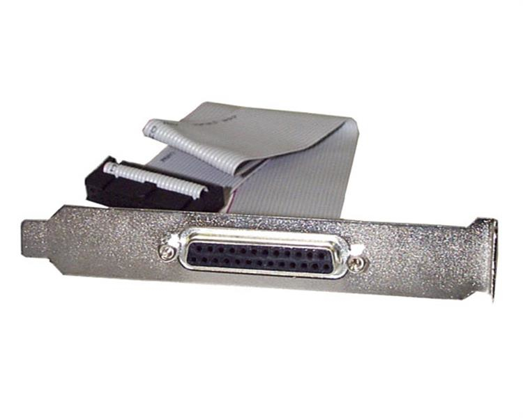 STARTECH Peripherals & Accessories