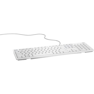 DELL Keyboards & Mice