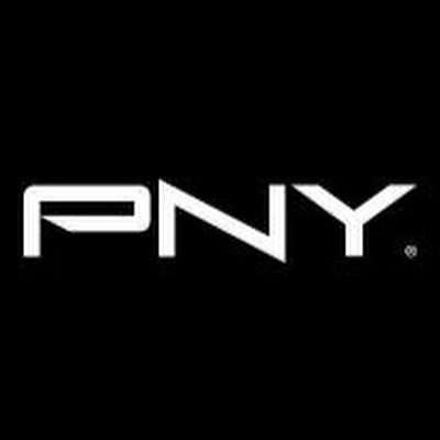PNY 256GB CS1031 M.2 2280 PCIE NVME SSD PNY — view 2