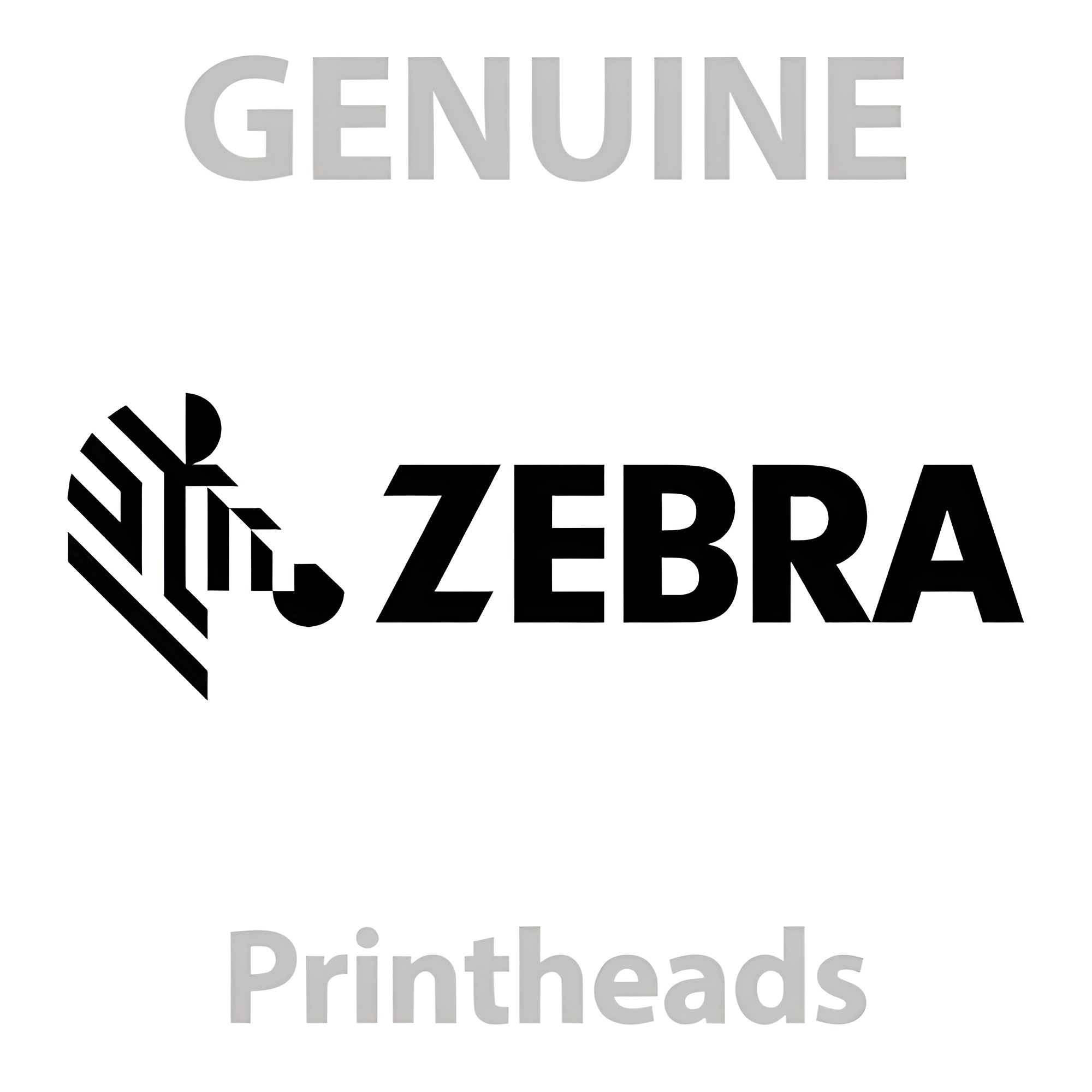 KIT PRINTHEAD 203 DPI ZT111 ZT211 ZT Zebra — view 2