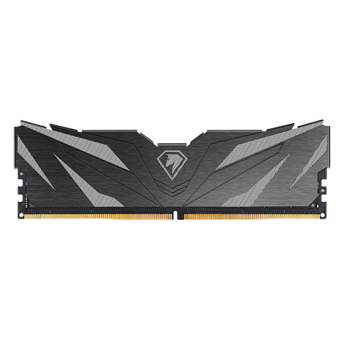 Netac RAM