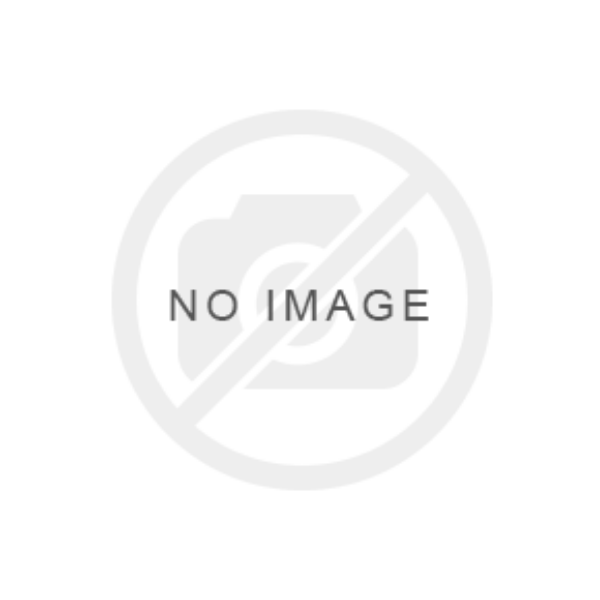 LITE 9RU Swing Wall Mount Cabinet 600x550x501mm *STOCK CLEARANCE* DYNAMIX — view 2